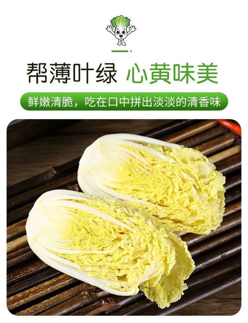 嫩滑爽口，鲜到心尖——黄心娃娃菜，火锅涮菜的绝佳拍档