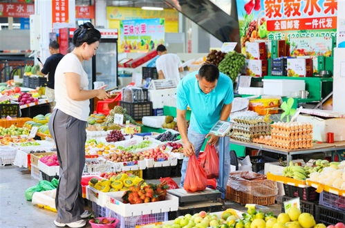 货足价稳 海南多个市县蔬菜供应稳定 新鲜蔬菜充足