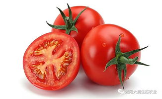 秋冬必吃的高营养食品与新鲜蔬菜名单