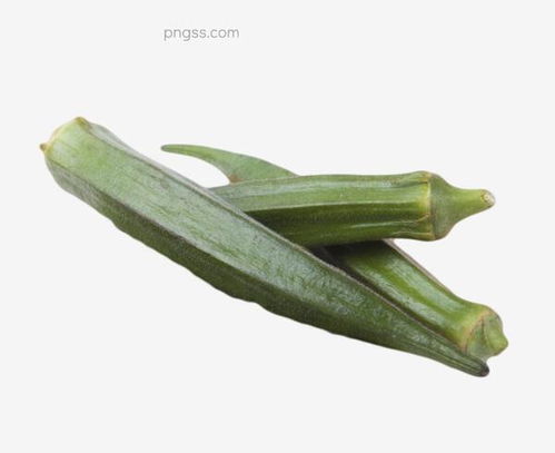 秋葵的药用价值 绿色健康食品的全面解读