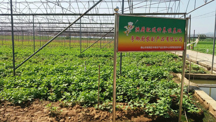 佛山洪厨 工厂食堂食材配送的首选伙伴